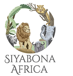 kruger botswana park safari sabi kapama cape hotel sands johannesburg africa gorilla south town za reserve mpumalanga private game lodge